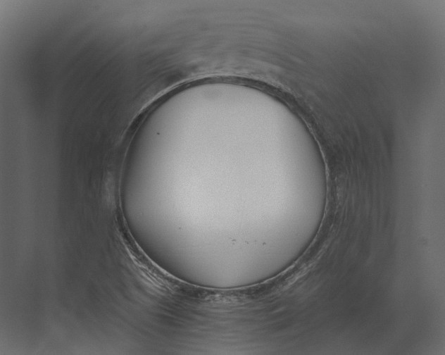 X0000073451505200608181225