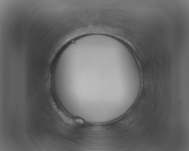 X0000073451507200608181225