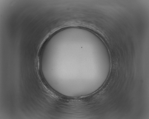 X0000073451509200608181225