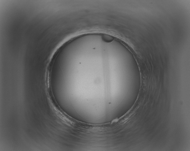 X0000073451510200608181225