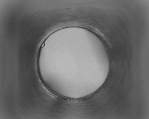 X0000073451512200608181225