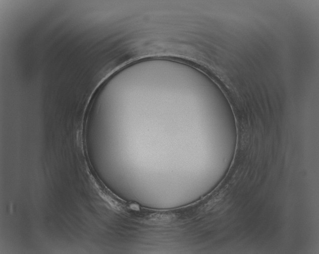 X0000073451513200608181225