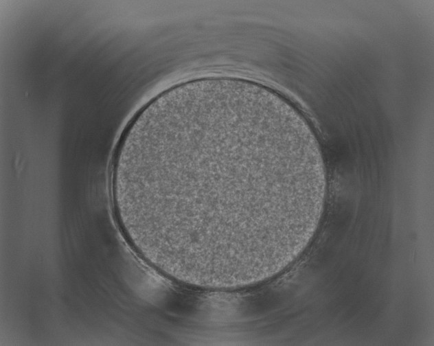 X0000073451514200608181225