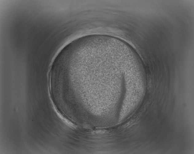 X0000073451515200608181225