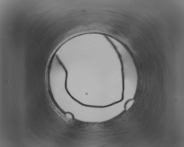 X0000073451516200608181225