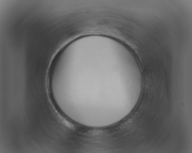 X0000073451517200608181225