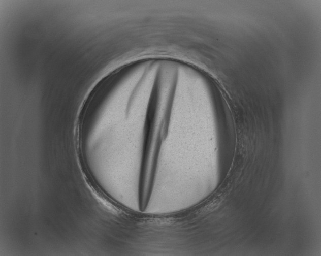 X0000073451519200608181225