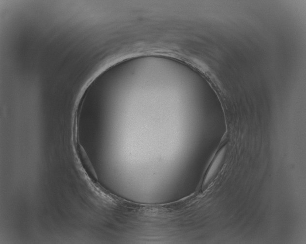 X0000073451520200608181225