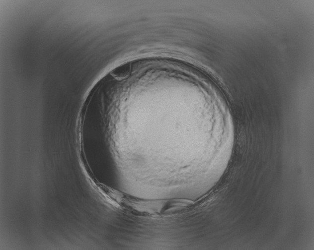 X0000073451522200608181225