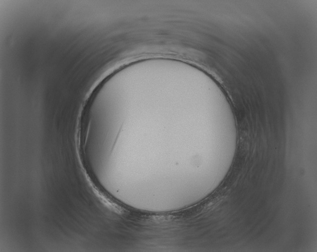 X0000073451523200608181225