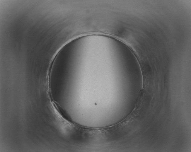 X0000073451524200608181225