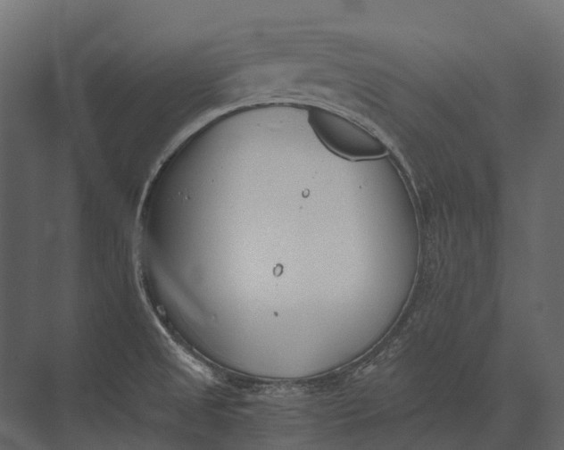 X0000073451525200608181225