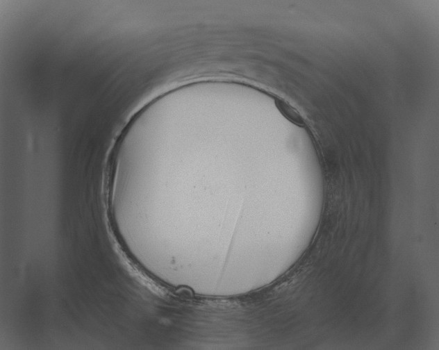 X0000073451526200608181225