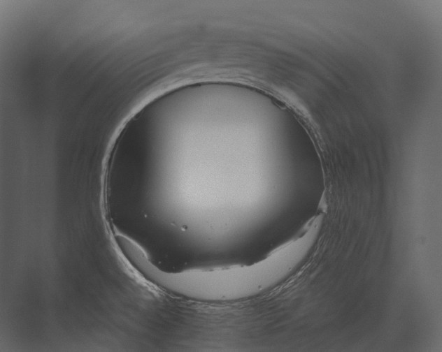 X0000073451528200608181225