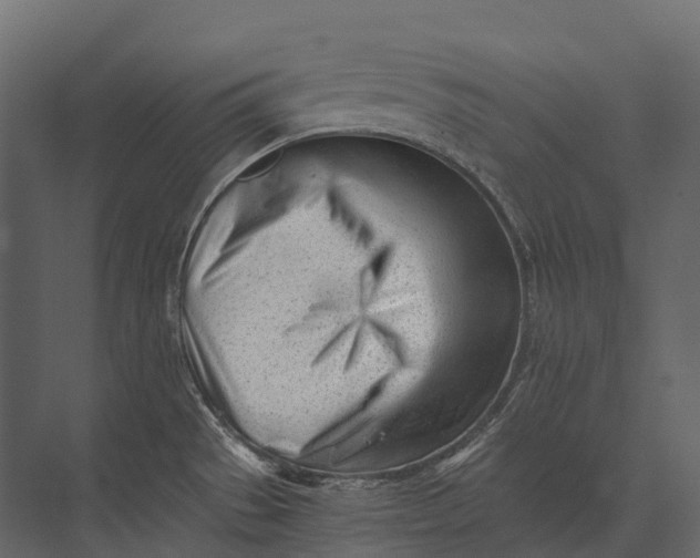 X0000073451529200608181225