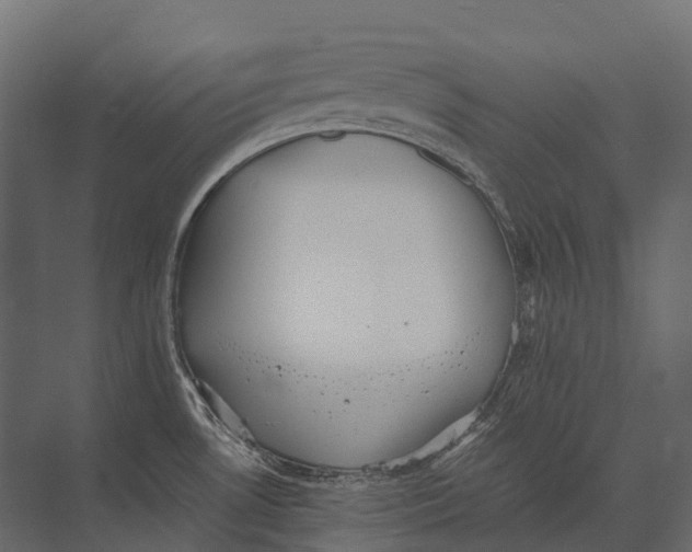 X0000073451530200608181225