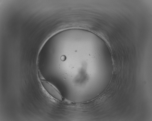 X0000073451532200608181225