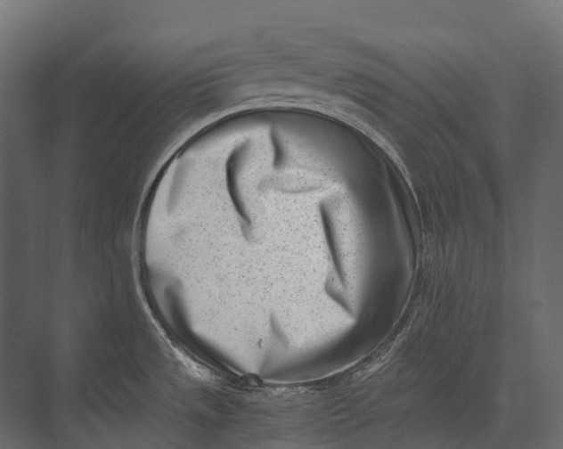 X0000073451533200608181225