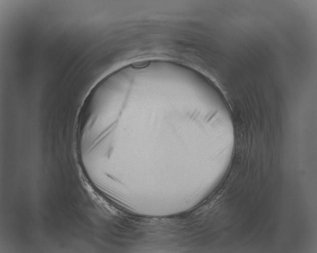 X0000073451534200608181225