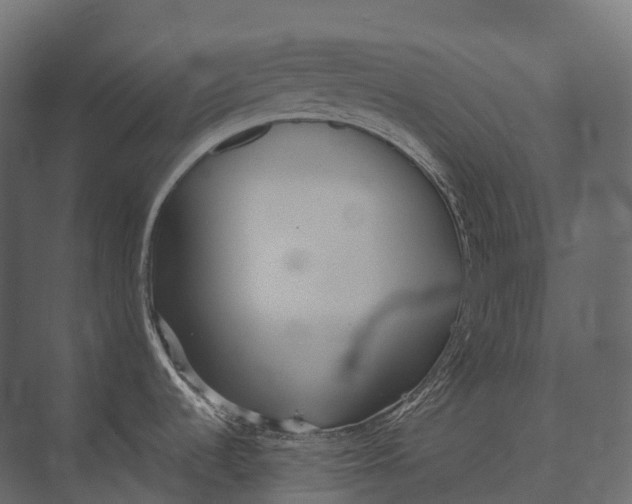 X0000073451536200608181226