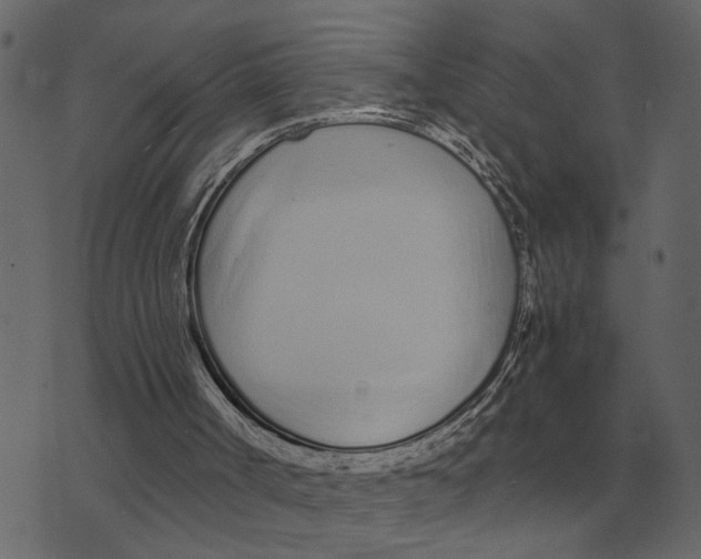 X0000073450002200608251717