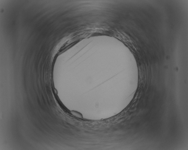 X0000073450003200608251717