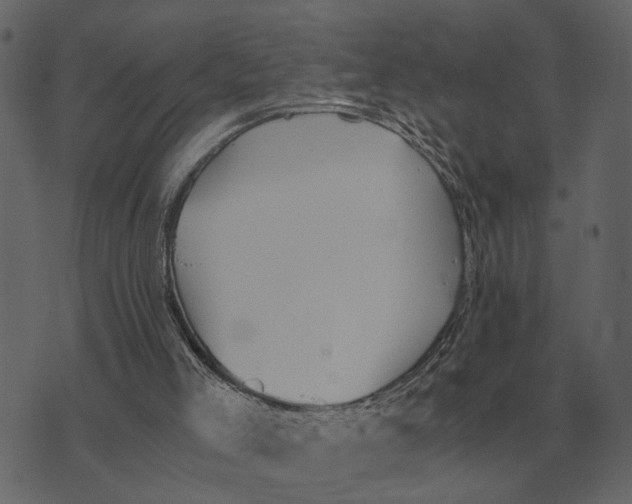 X0000073450005200608251717