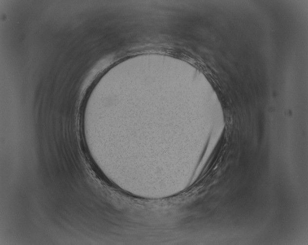 X0000073450006200608251717