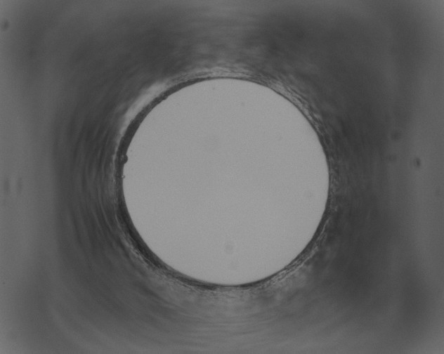 X0000073450008200608251717