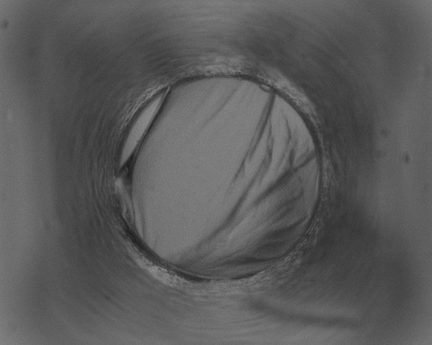 X0000073450009200608251717