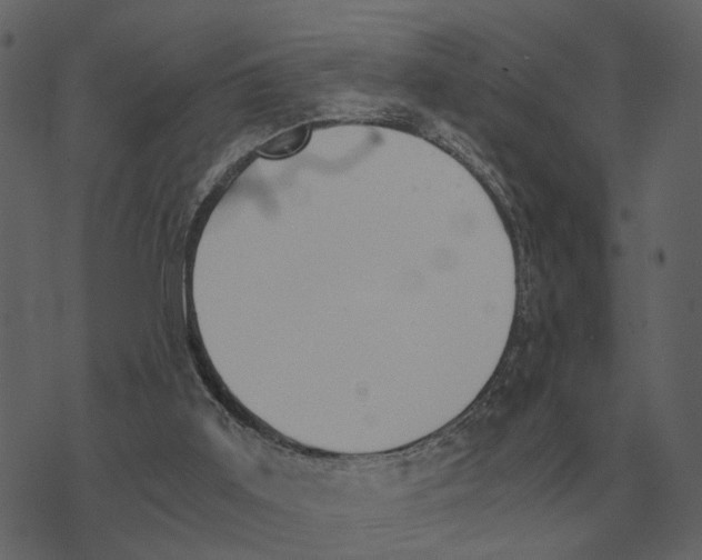 X0000073450011200608251717