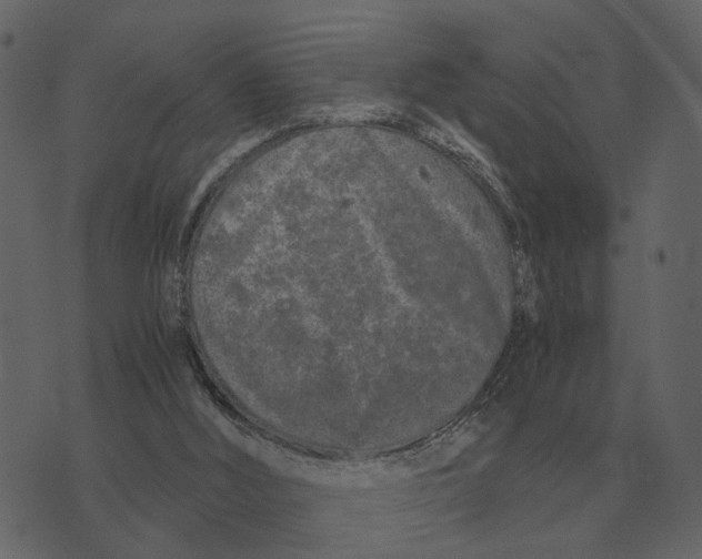 X0000073450012200608251717