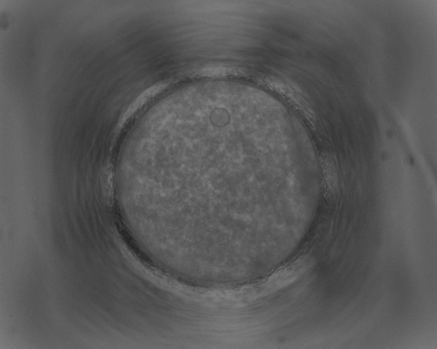 X0000073450016200608251717