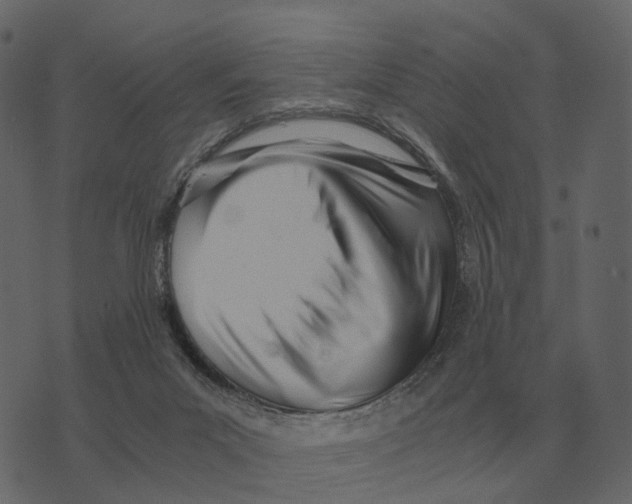 X0000073450023200608251717