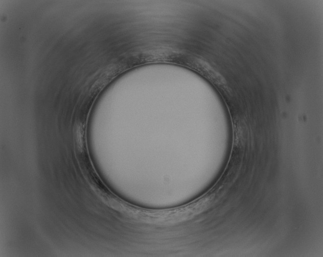 X0000073450026200608251717