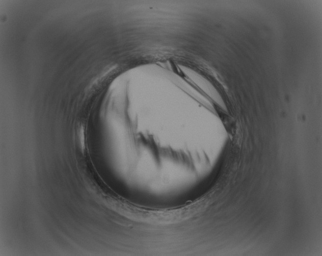 X0000073450027200608251717