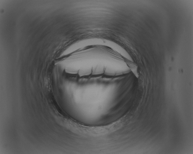 X0000073450031200608251717