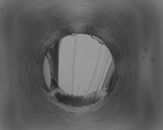 X0000073450039200608251717