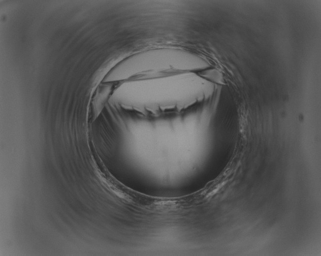X0000073450052200608251716
