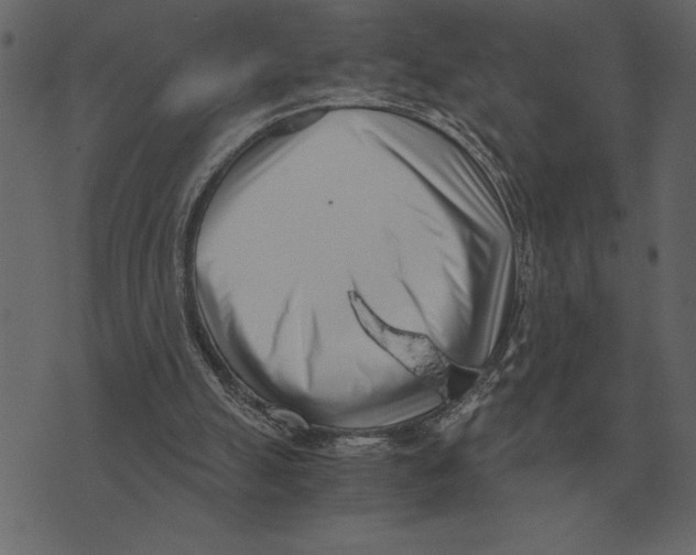 X0000073450055200608251716
