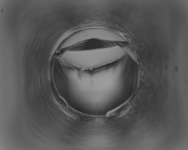 X0000073450056200608251716