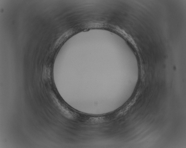 X0000073450057200608251716