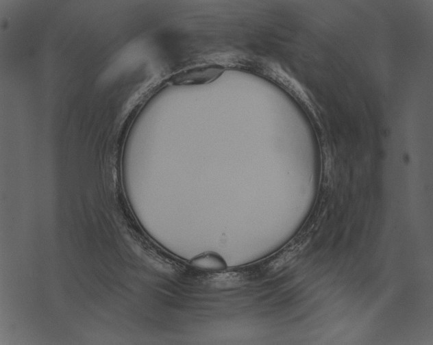 X0000073450059200608251716