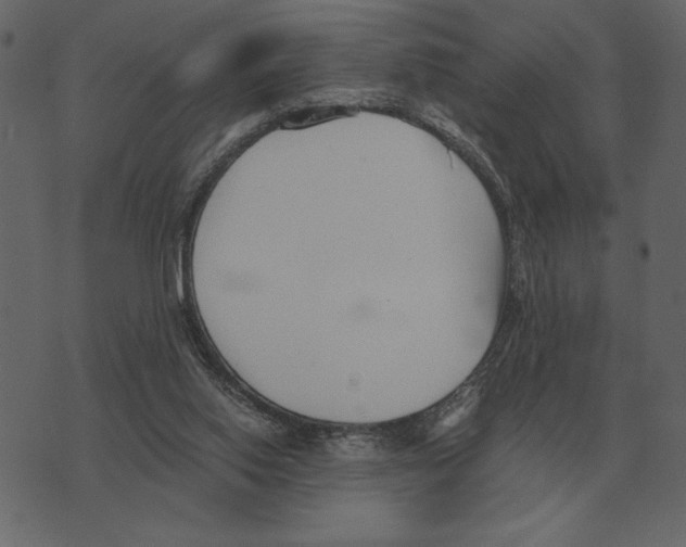 X0000073450062200608251716