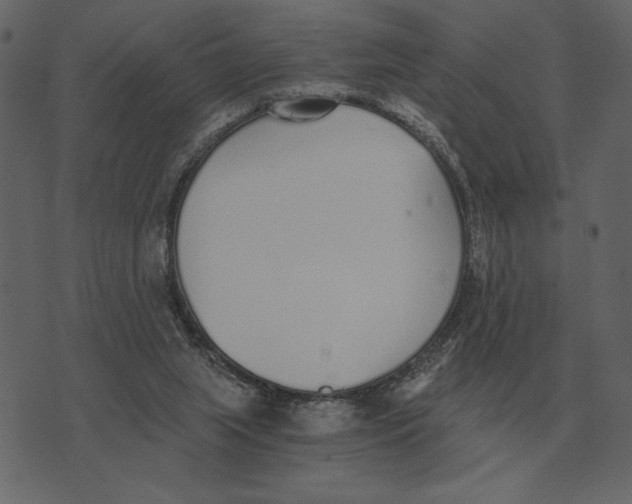 X0000073450063200608251716