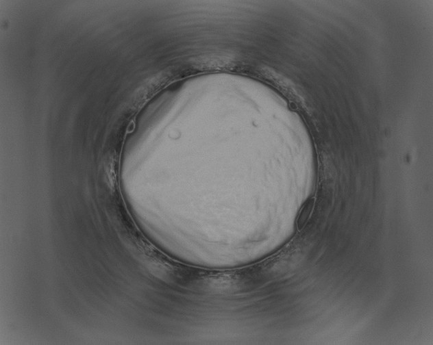 X0000073450069200608251716