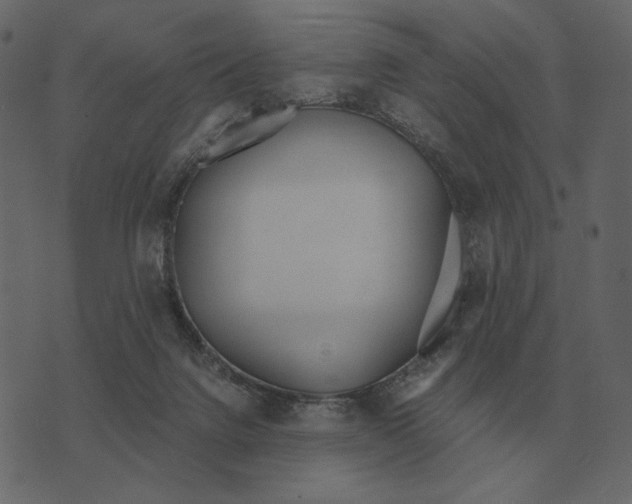 X0000073450072200608251716