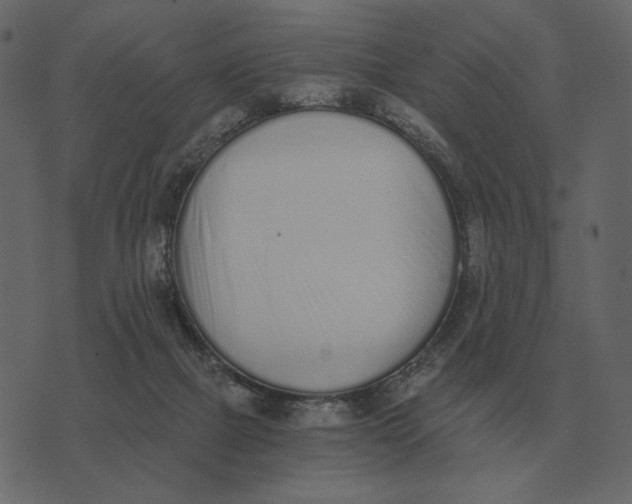 X0000073450073200608251716