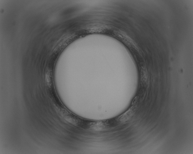 X0000073450074200608251716