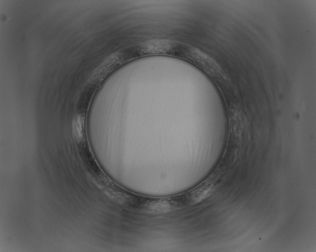 X0000073450075200608251716